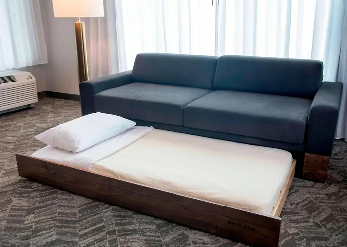 Springhill Suites By Marriott Orlando Theme Parks Lake Buena Vista